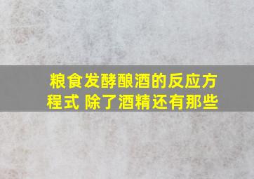 粮食发酵酿酒的反应方程式 除了酒精还有那些